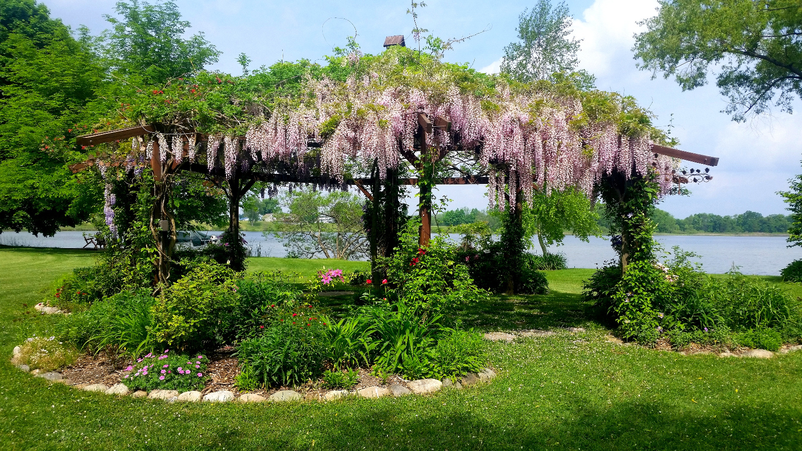 PINK WISTERIA AND FAR LEFT RED HONEYSUCKLE IN BLOOM ATOP FLOWERING GAZEBO; GARDEN PEONIES, GERANIUM, SWEET WILLIAM AND ROSES START TO BLOOM